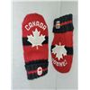 Image 1 : HUDSON BAY CANADA OLYMPIC MITTENS