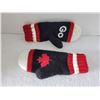 Image 2 : HUDSON BAY CANADA BLACK NEW (LIKE NEW?) MITTENS
