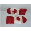 Image 2 : HUDSON BAY CANADA MAPLE LEAF MITTENS