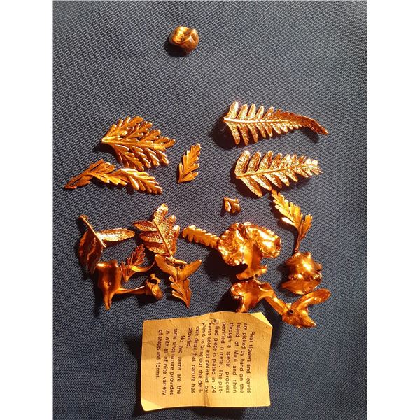 Gold tooth cap and more Cat A