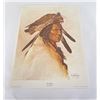 Image 1 : Enoch Kelly Haney Hawk Warrior Print