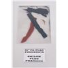 Image 1 : Civil War Flag Fragments