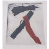 Image 2 : Civil War Flag Fragments