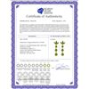 Image 2 : Genuine 8.7 ctw Peridot Earrings 14KT Yellow Gold - REF-53V6W