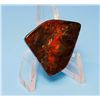 NATURAL 26.5 AMMOLITE GEMSTONE