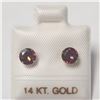 BZ1341-27 10K GARNET EARRINGS