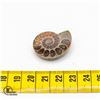 Image 1 : GENUINE AMMONITE IRRIDESCENT SPECIMEN