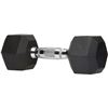 NEW AMZ BASICS RUBBER ENCASED HEX DUMBBELL 15LB