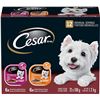 NEW CASE OF 12 CESAR CANINE CUISINE DOG FOOD