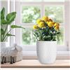 Image 1 : NEW LEWONDR CERAMIC WHITE FLOWER POT WITH