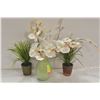 Image 1 : SHOWHOME SILK ORCHID & WHEAT GRASS PLANTER