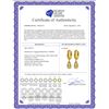 Image 2 : Genuine 5.35 ctw Citrine Earrings 14KT Yellow Gold - REF-43P6H