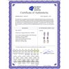Image 2 : Genuine 9.5 ctw Pearl & Amethyst Earrings 14KT White Gold - REF-53M2T