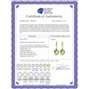 Image 2 : Genuine 26.1 ctw Green Amethyst & Diamond Earrings 14KT White Gold - REF-55Z3N