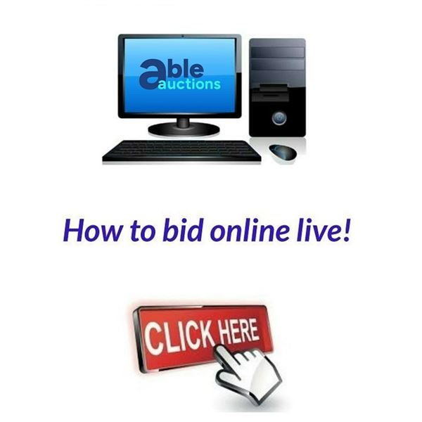 How to bid online live