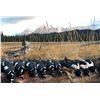 Image 6 : Cordova, AK: 3 Day Guided Sea Duck Hunt for 6 Hunters with Serenity Charters. Collectors Special