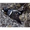 Image 9 : Cordova, AK: 3 Day Guided Sea Duck Hunt for 6 Hunters with Serenity Charters. Collectors Special