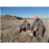Image 5 : Nebraska: 4 Day 4 Night 2023 Deer Hunt (Mule Deer or Whitetail Deer) for One Hunter