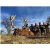 Image 4 : Argentina: 5 D 6 N Hunt for 2 hunters, includes 1 Blackbuck & 1 Patagonic Ram or a $2,000 TF credit