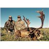 Image 8 : Argentina: 5 D 6 N Hunt for 2 hunters, includes 1 Blackbuck & 1 Patagonic Ram or a $2,000 TF credit