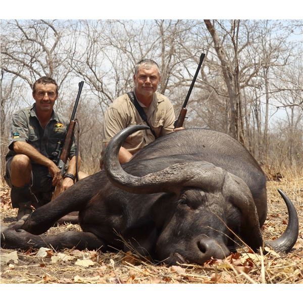 Mozambique:10 Day Cape Buffalo Hunt for One /  Includes Trophy Fee for One Cape Buffalo Plus Extras