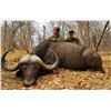 Image 4 : Mozambique:10 Day Cape Buffalo Hunt for One /  Includes Trophy Fee for One Cape Buffalo Plus Extras