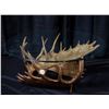 Image 1 : Artist Casey Dinkel's One-Of-A-Kind Moose Antler Table.