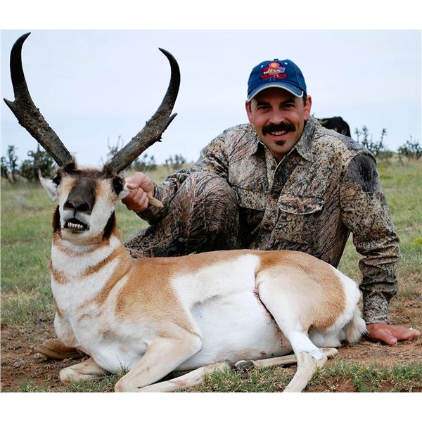 New Mexico: 2 Day 3 Night Trophy Antelope Hunt for 1 Hunter and 1 Observer
