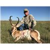 Image 4 : New Mexico: 2 Day 3 Night Trophy Antelope Hunt for 1 Hunter and 1 Observer