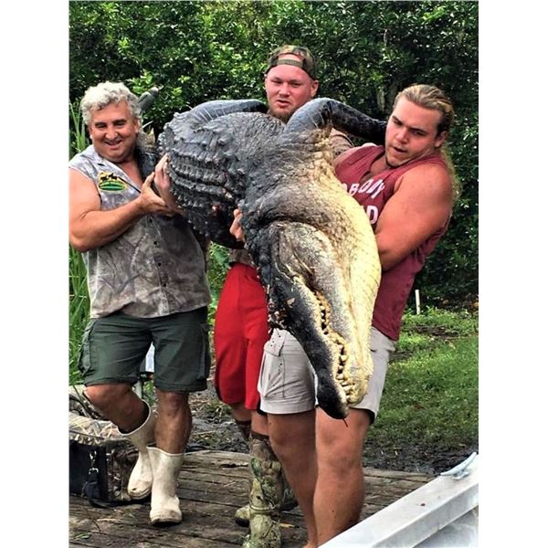 Louisiana: 3 Day 3 Night Traditional Alligator Hunt for 1 Hunter & 2 observers! Includes 1 Alligator