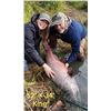 Image 5 : Alaska: 3 Night 2 Day Kenai River Private Salmon Fishing Charter for 4 Anglers.