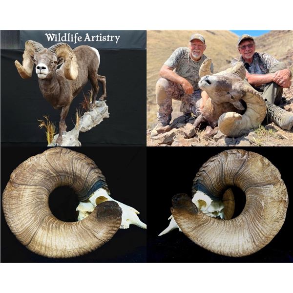 Oregon: Mike Kinney’s 2022 NEW WORLD RECORD CA BIGHORN SHEEP EUROPEAN REPLICA. Eden Ridge Outfitters