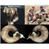 Image 1 : Oregon: Mike Kinney’s 2022 NEW WORLD RECORD CA BIGHORN SHEEP EUROPEAN REPLICA. Eden Ridge Outfitters