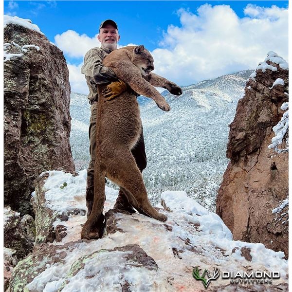 Arizona: 7 Day Mountain Lion Hunt for 1 Hunter