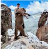 Image 1 : Arizona: 7 Day Mountain Lion Hunt for 1 Hunter