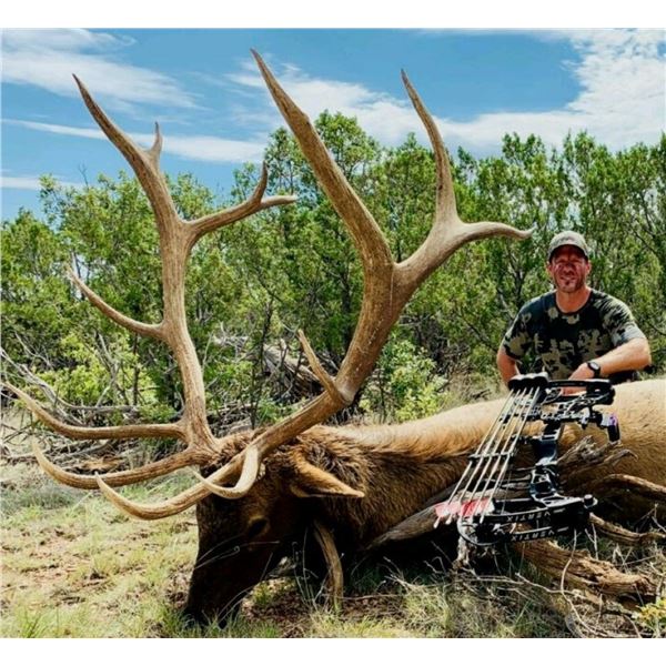 New Mexico: 5 Day Elk/Deer/Bear Combination Archery hunt for 2 hunters