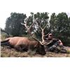 Image 4 : New Mexico: 5 Day Elk/Deer/Bear Combination Archery hunt for 2 hunters
