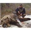 Image 3 : Alaska: 10 Day Guided Spring Grizzly Bear & Wolf Hunt for 1 Hunter, with Midnight Sun Safaris