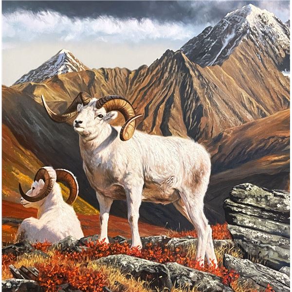 Dallen Lambson's: Alaska Governors Chugach Dall Sheep Commemorative Original Oil Painting