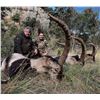 Image 1 : SPAIN: 4 D 3 N Beceite Ibex Hunt for 1 Hunter, includes a $4,000.00 (50%)  Beceite Ibex TF credit.