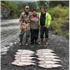 Image 2 : Alaska: 5 Day 6 Night Salmon, Halibut, Rockfish & Lingcod Fishing Adventure for 1 Angler.