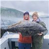 Image 7 : Alaska: 5 Day 6 Night Salmon, Halibut, Rockfish & Lingcod Fishing Adventure for 1 Angler.