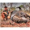 Image 3 : Africa: 10 Day Cape Buffalo & Plains Game Hunt for 2 Hunters, includes trophies & $10,000 TF credit.
