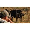 Image 4 : Africa: 10 Day Cape Buffalo & Plains Game Hunt for 2 Hunters, includes trophies & $10,000 TF credit.