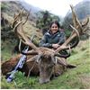 Image 1 : New Zealand: 5 Day Trophy Hunt for 2 Hunters & 2 Observers, including a $9,000 Trophy Free Credit