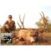 Image 1 : New Mexico: 5 Day Trophy Mule Deer rifle hunt for 2 hunters.