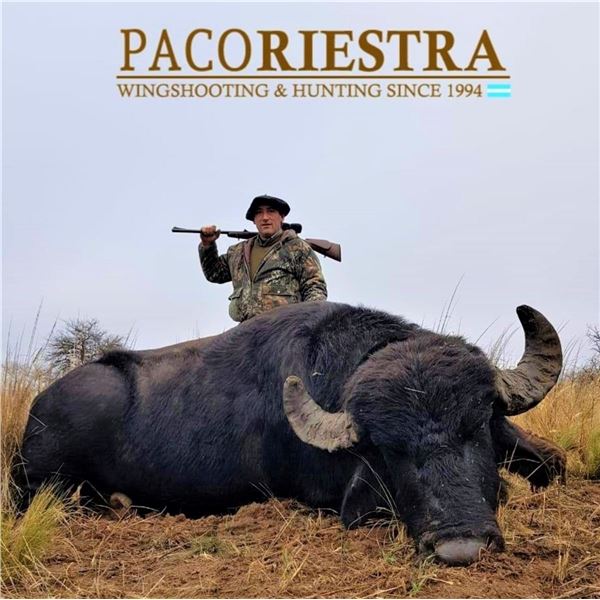 Argentina: 5 Day 4 Night Trophy Big Game Hunt for 1 Hunter, includes 1 Buffalo or 1 Red Stag