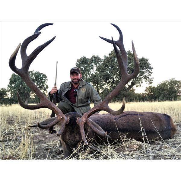 Spain: 4 Day Big Game Hunt for One Hunter, including the trophy fee for 1 Iberian Red Deer Stag