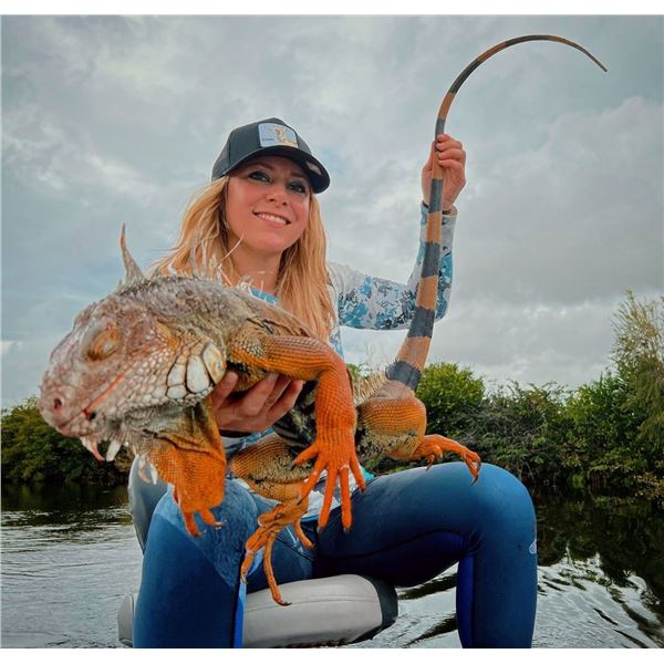 Florida: 1 Day Iguana Hunt & Peacock Bass Fishing Combo for 3 people.