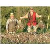 Image 4 : Argentina: 4-day 3-night High Volume Dove Hunt For 4 Hunters.